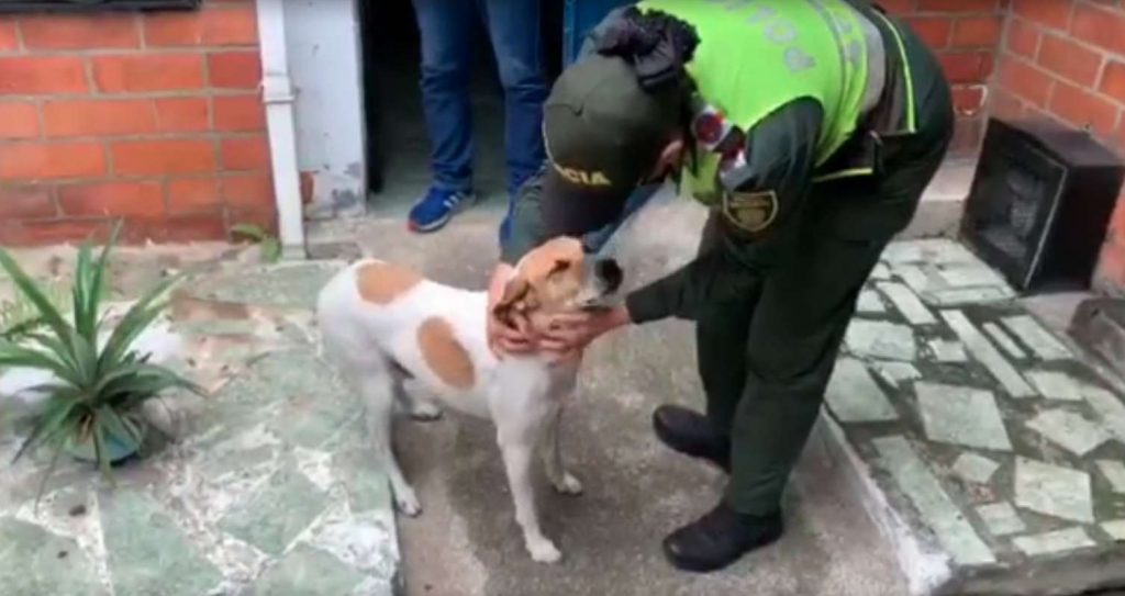 Apareció 'Lagañas', el perro de la Policía que se perdió en el MIO