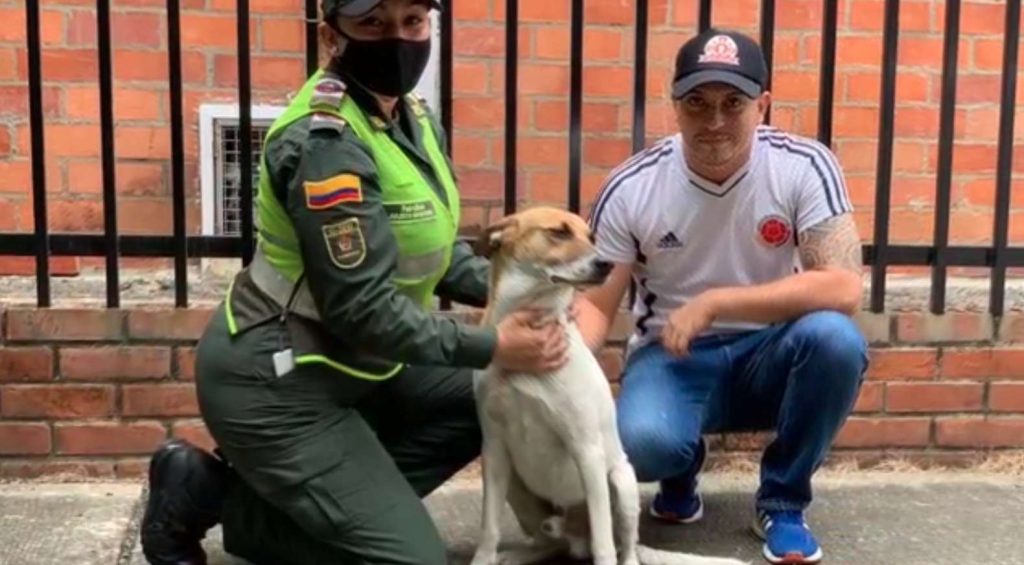 Apareció 'Lagañas', el perro de la Policía que se perdió en el MIO