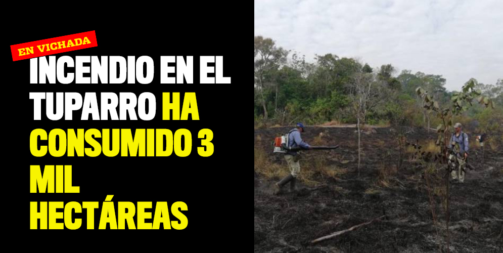 Incendio en el parque Natural El Tuparro ha consumido 3 mil hectáreas