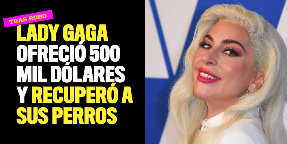Lady Gaga ofreció 500 mil dólares y recuperó a sus perros robados