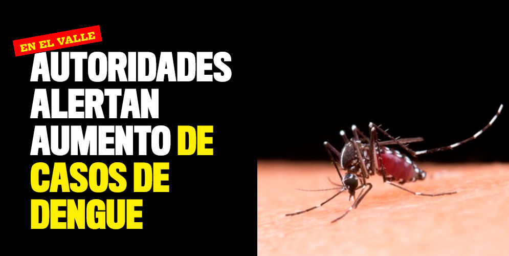 Autoridades alertan aumento de casos de dengue