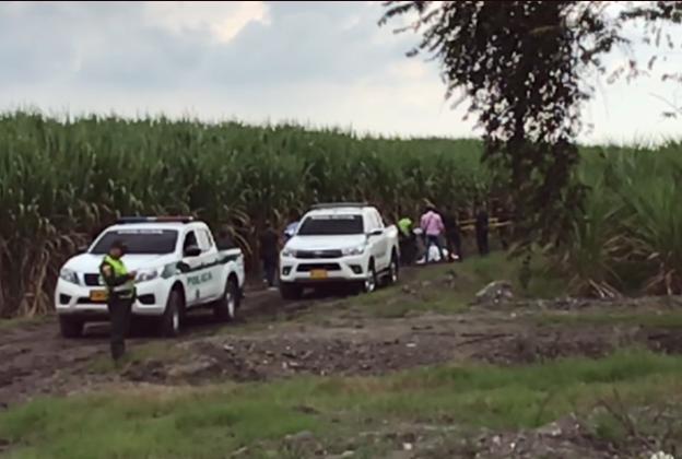 Hallan cadáver de adulto mayor en un cultivo de caña en Tuluá