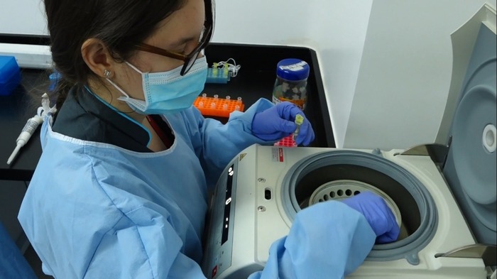 Preparan jornada para toma de pruebas PCR en el Valle