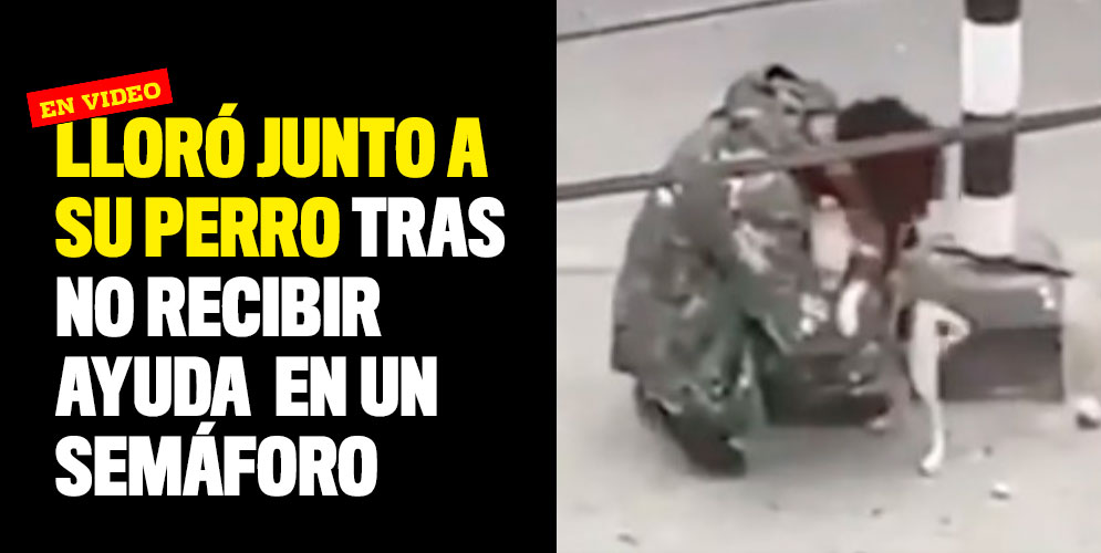 Lloró-junto-a-su-perro-tras-no-recibir-ayuda--en-un-semáforo