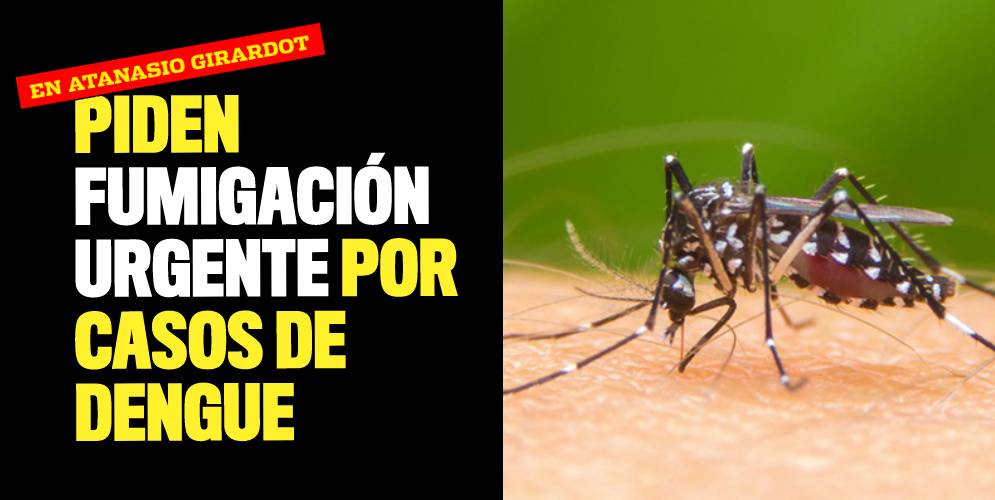 Piden fumigación urgente por casos de dengue en el barrio Atanasio Girardot