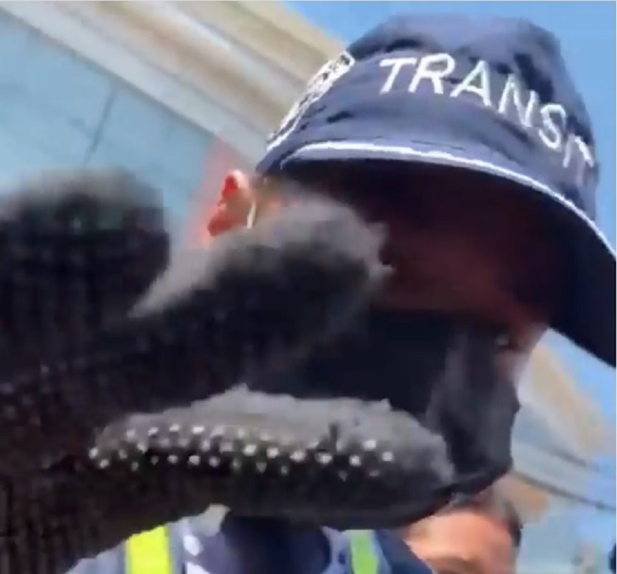 ¡Increíble! Por bloquear un bloqueo la van a multar