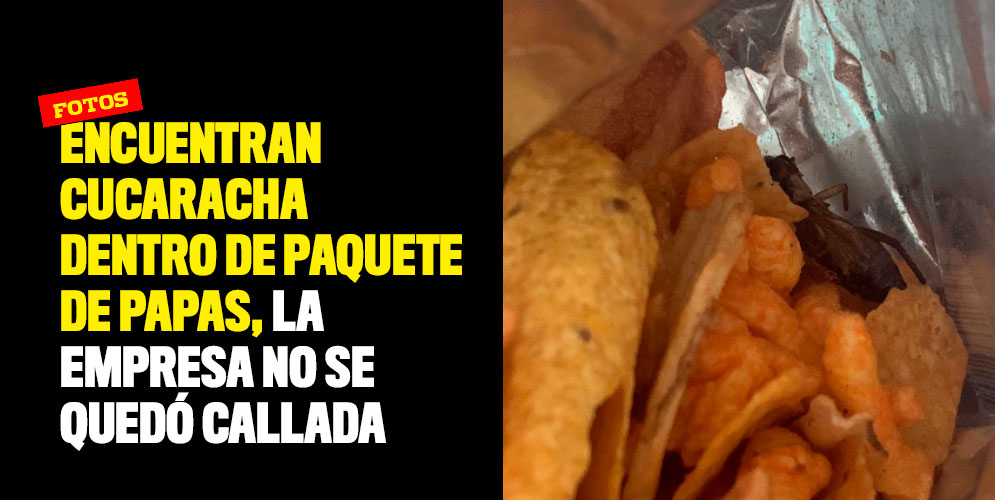 Encuentran-cucaracha-dentro-de-paquete-de-papas,-la-empresa-no-se-quedó-callada