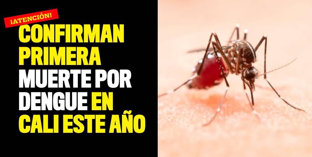 Confirman primera muerte por dengue en Cali este año