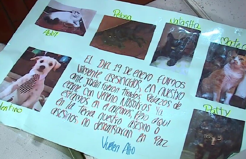 Envenenaron a 7 mascotas en Villa del Lago