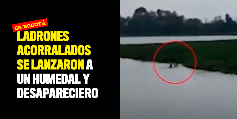 Ladrones acorralados se lanzaron a un humedal y desaparecieron