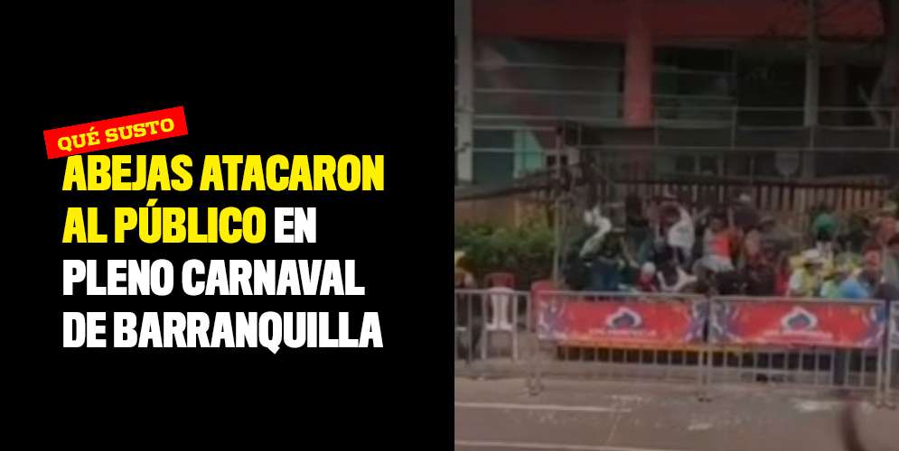 Abejas-atacaron-al-público-en-pleno-Carnaval-de-Barranquilla