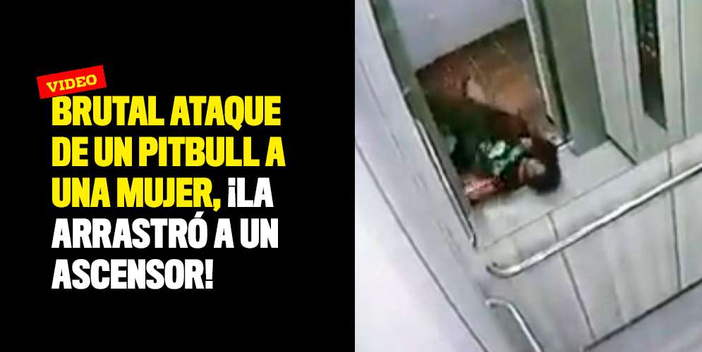 Brutal-ataque-de-un-pitbull-a-una-mujer-la-arrastró-a-un-ascensor