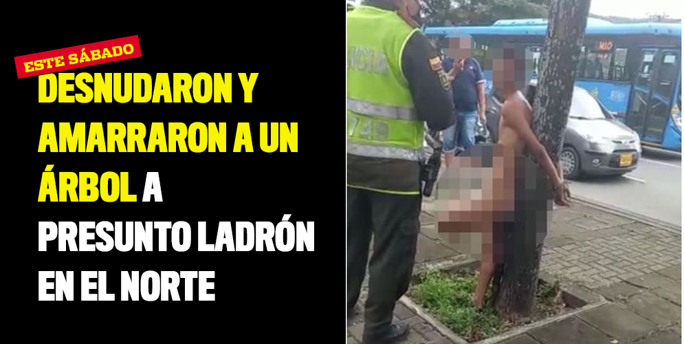 Desnudaron y amarraron a un árbol a presunto ladrón en el norte