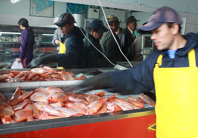 Así comienzan los precios del pescado para Semana Santa