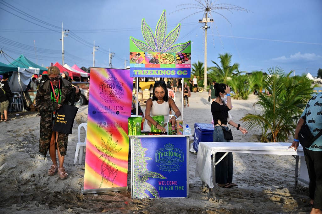 ¡Con un festival! Tailandia celebra la despenalización del cannabis