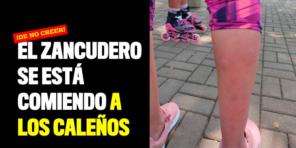 El zancudero se está comiendo a los caleños
