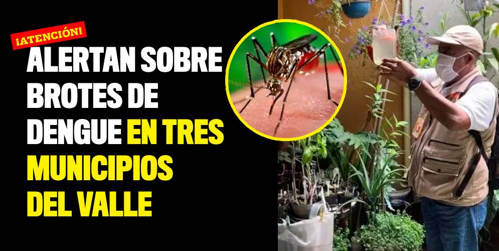 Alertan sobre brotes de dengue en tres municipios del Valle