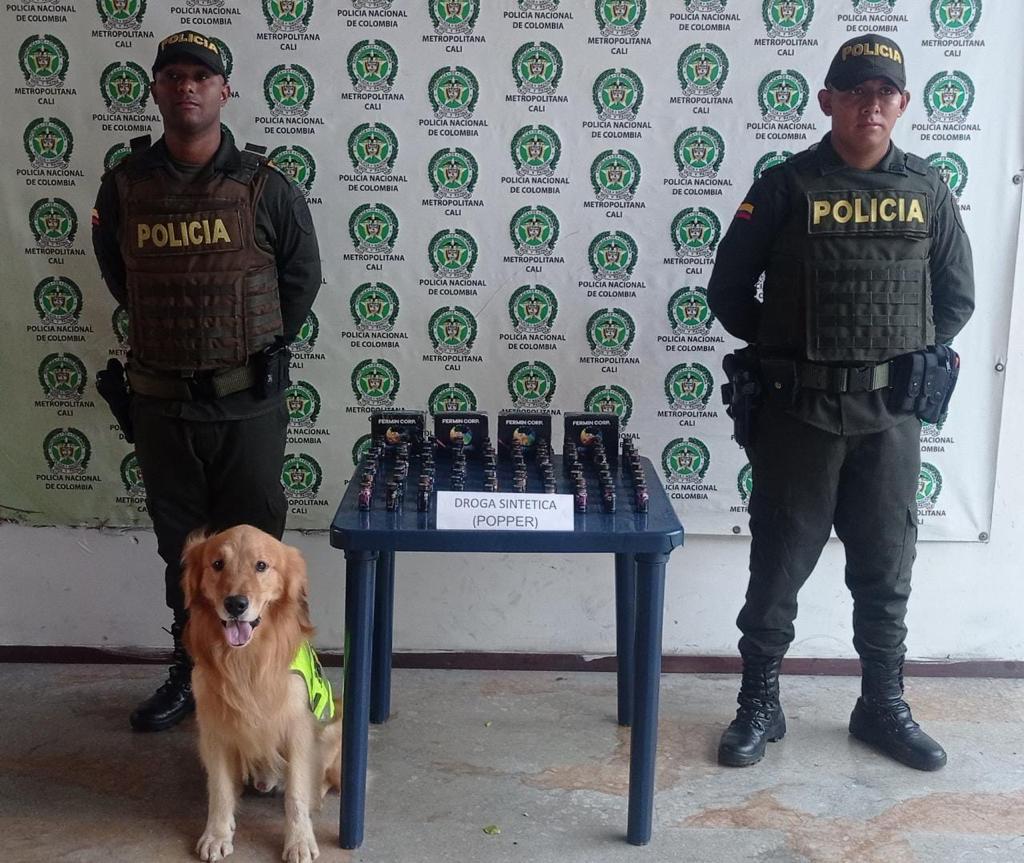Canito 'Toro' intercepta envío de 'popper' y marihuana en Yumbo