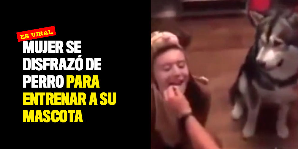 Mujer se disfrazó de perro para entrenar a su mascota y es viral
