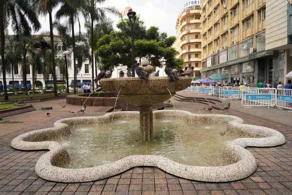 Volvió a brotar el agua de las fuentes de la Plaza de Cayzedo