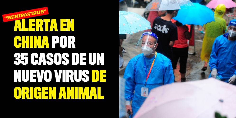 Alerta en China por 35 casos de un nuevo virus de origen animal