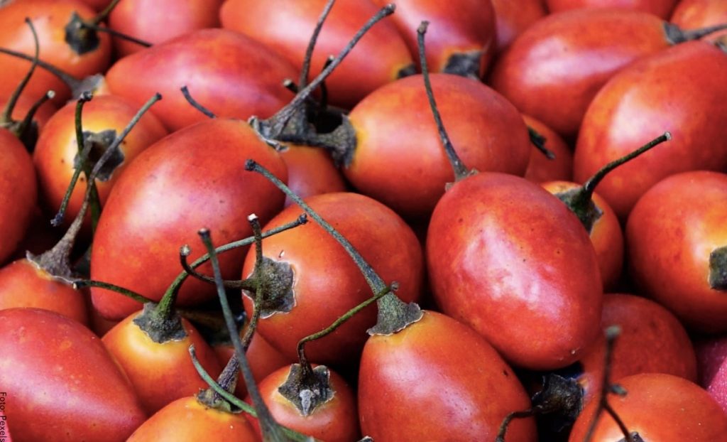 Aprenda cómo tomar jugo de tomate de árbol para tener un abdomen plano