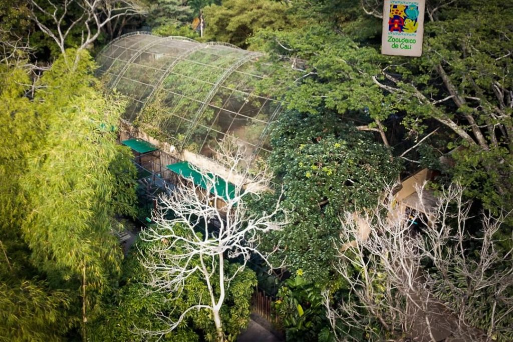 Hace 50 años, así era el parche en el Zoológico de Cali y así es ahora