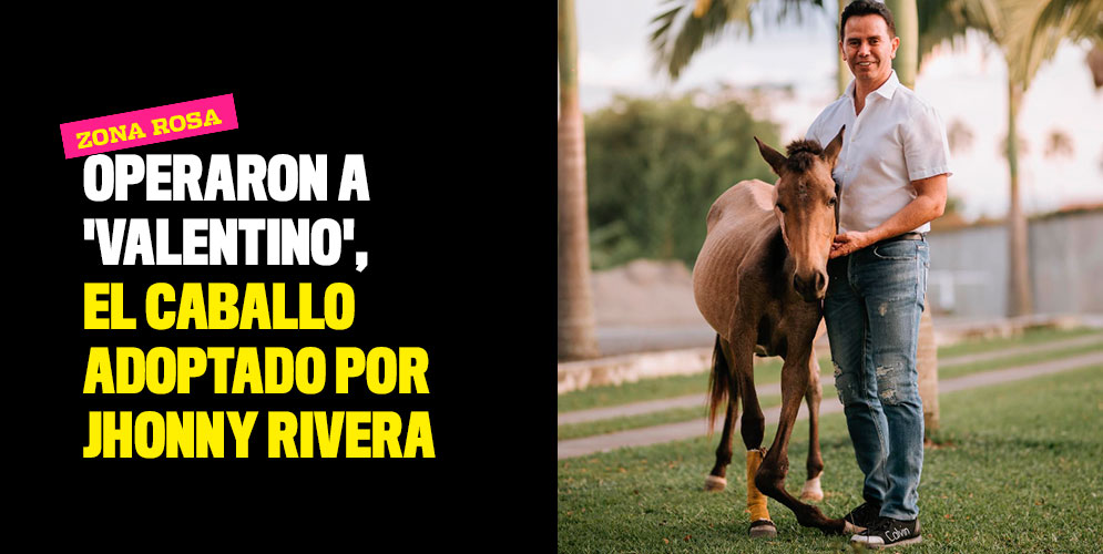 Operaron a 'Valentino', el caballo adoptado por Jhonny Rivera