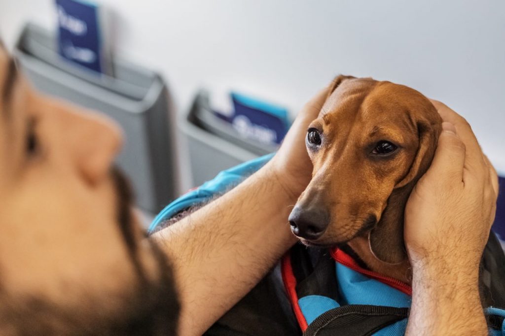 ¡Aliste maletas! Una nueva aerolínea aterriza sus vuelos en Cali ¡Aliste maletas! Una nueva aerolínea aterriza sus vuelos en Cali