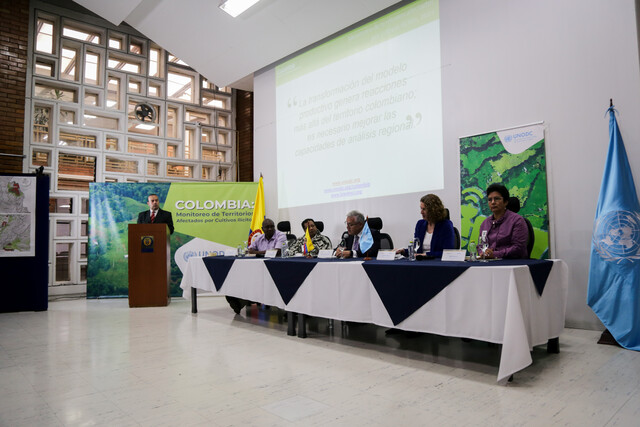 Con 204 mil hectáreas, cultivos de coca alcanzan aumento histórico