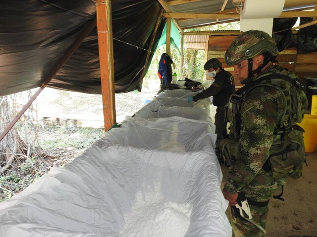 Con 204 mil hectáreas, cultivos de cocaína alcanza aumento histórico
